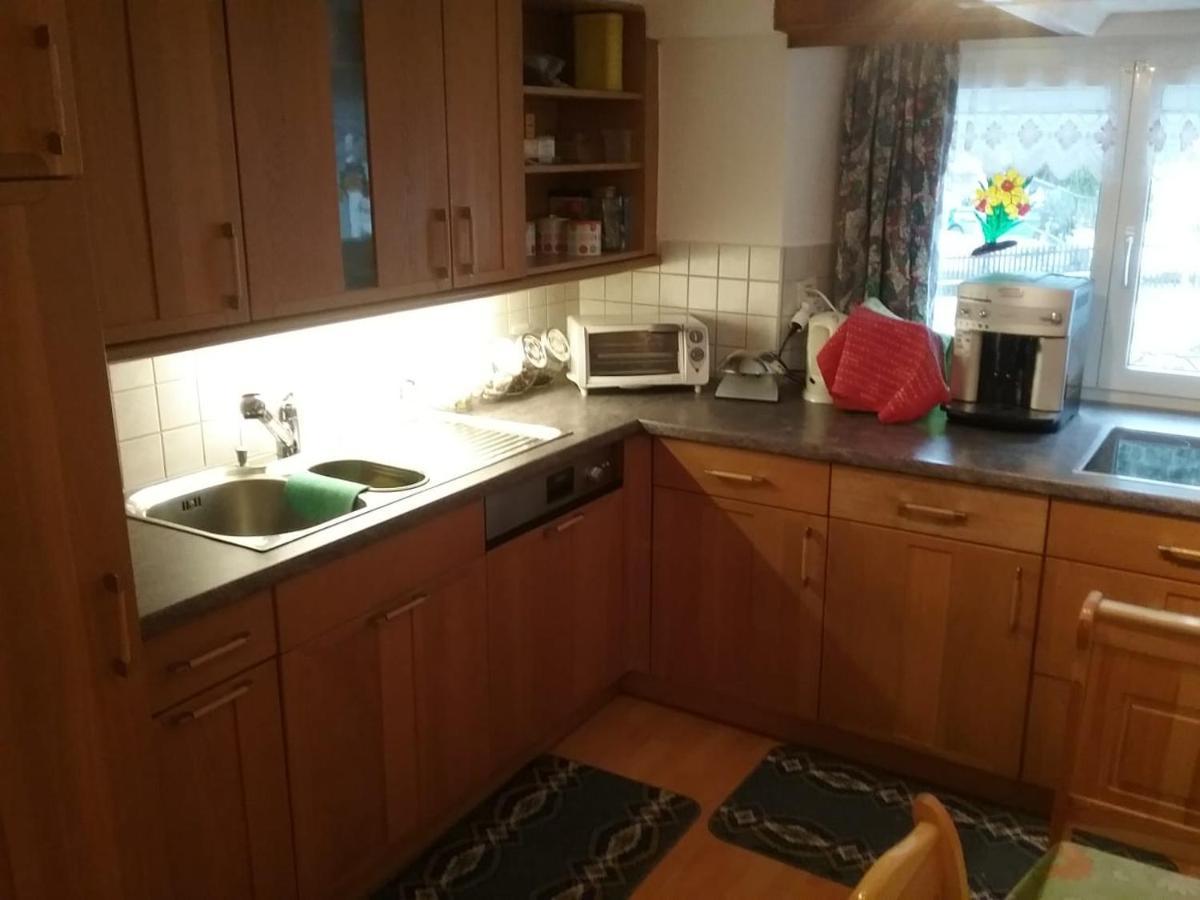 Walser Chalet Casa Paterna 迪森蒂斯 外观 照片
