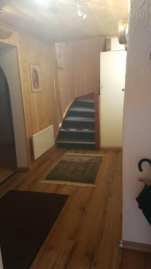 Walser Chalet Casa Paterna 迪森蒂斯 外观 照片
