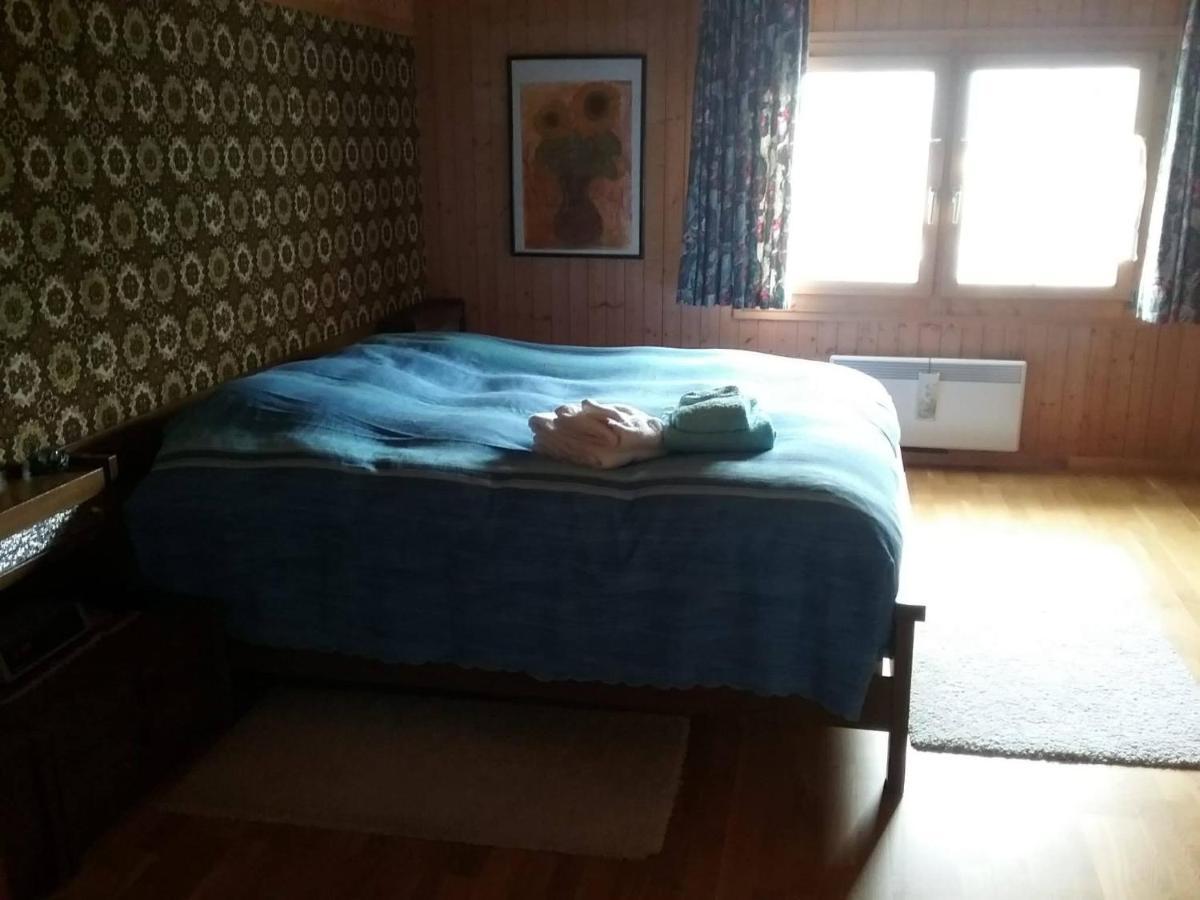 Walser Chalet Casa Paterna 迪森蒂斯 外观 照片